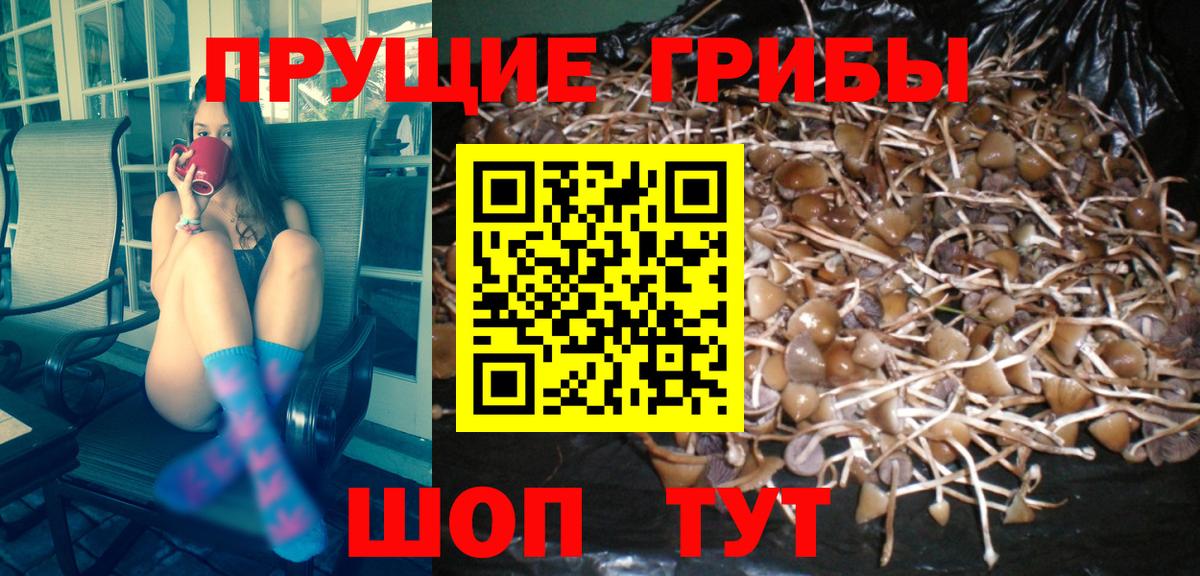 Галлюциногенные грибы ЛСД Майкоп