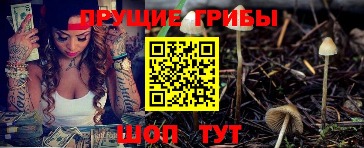 Галлюциногенные грибы Cubensis  Вход с VPN  Майкоп  Галлюциногенные грибы ЛСД 
